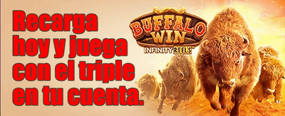 Interfaz de Mr Bet Casino con juegos de azar y bonos en Chile